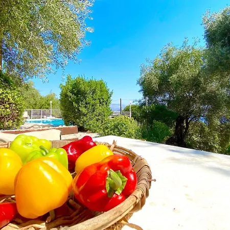 Vila Marialetta St Stephanos With Private Pool By Dadovillas